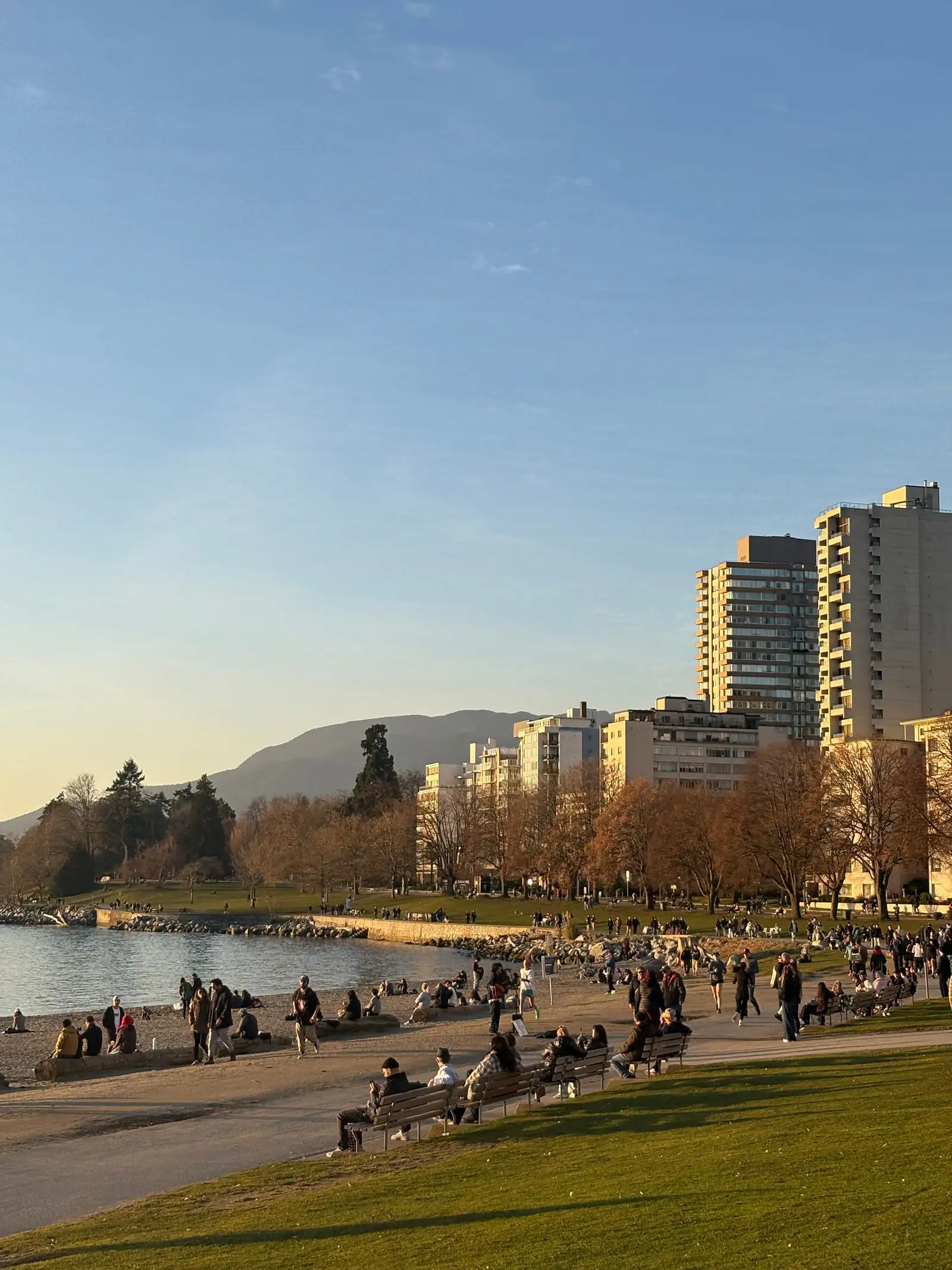 Late-afternoon light on English Bay beach and the apartment towers of Vancouver’s West End